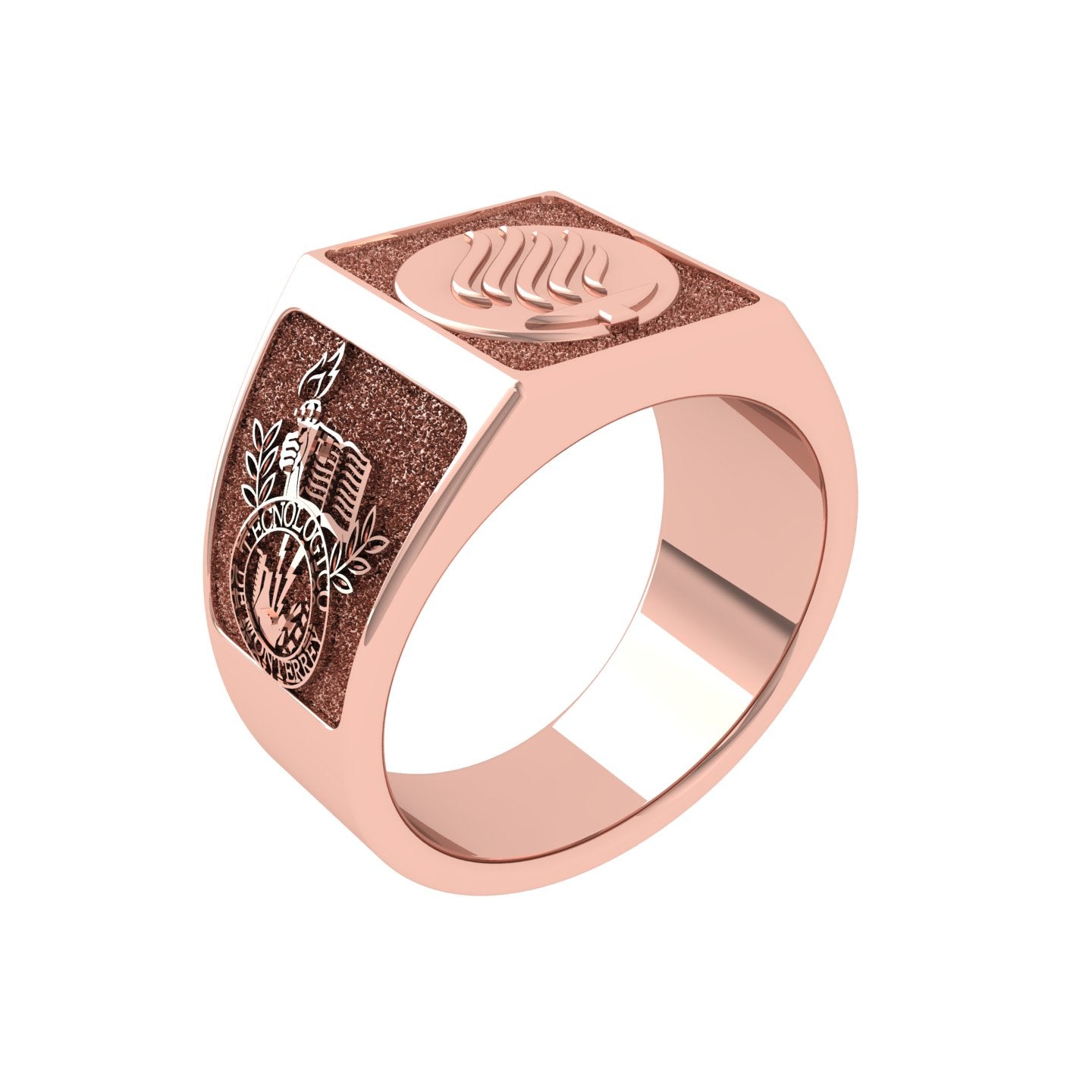 Anillo Graduación con Logo Frontal 14mm de Oro