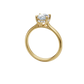Anillo de Compromiso con Incrustación Oval y Halo Oculto
