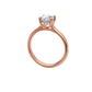 Anillo de Compromiso con Incrustación Oval y Halo Oculto