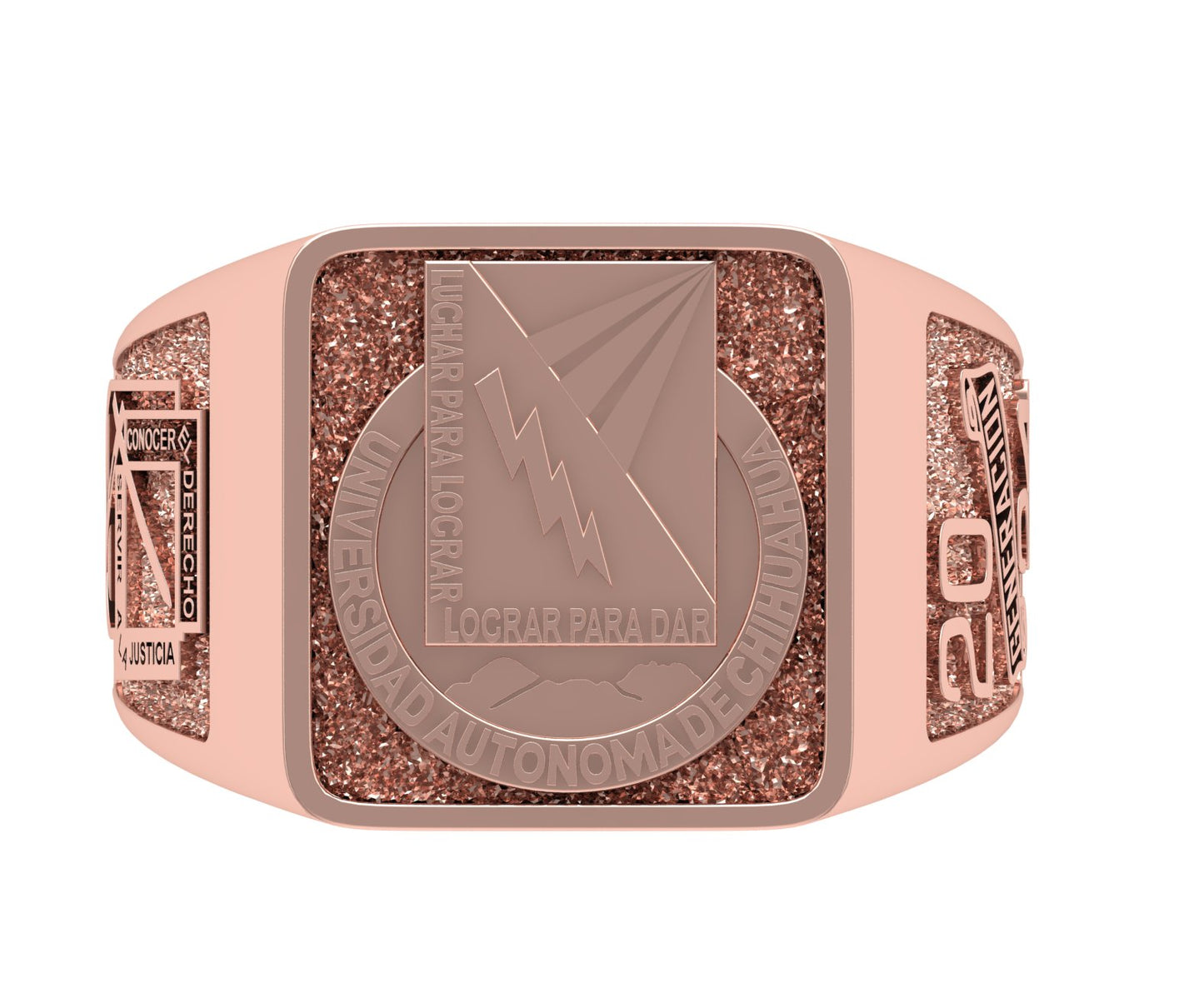 Increíble Anillo Graduacion con Logo Escolar Forntal