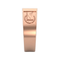 Anillo de Graduación Logo Rectangular con Grabados Laterales Escolares